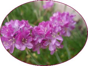 100524-2.jpg